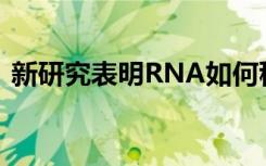 新研究表明RNA如何稳定地与人工核酸结合