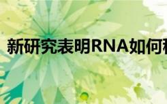 新研究表明RNA如何稳定地与人工核酸结合