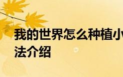 我的世界怎么种植小麦 我的世界种植小麦方法介绍