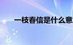 一枝春信是什么意思 一枝春信的意思