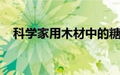 科学家用木材中的糖制造可持续的聚合物