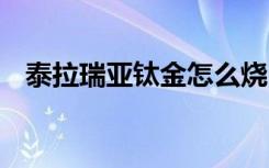 泰拉瑞亚钛金怎么烧 泰拉瑞亚钛金的玩法