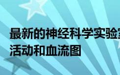 最新的神经科学实验室中的新设备可绘制大脑活动和血流图