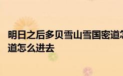 明日之后多贝雪山雪国密道怎么做 明日之后多贝雪山雪山密道怎么进去