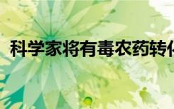 科学家将有毒农药转化为抗药性细菌的治疗