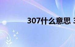 307什么意思 307是什么意思