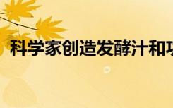 科学家创造发酵汁和功能性面包来治疗贫血