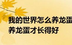 我的世界怎么养龙蛋才长得好 我的世界如何养龙蛋才长得好