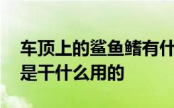 车顶上的鲨鱼鳍有什么用 汽车顶上的鲨鱼鳍是干什么用的