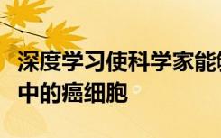 深度学习使科学家能够在几毫秒内识别出血液中的癌细胞