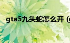 gta5九头蛇怎么开 (gta5九头蛇开启方法)