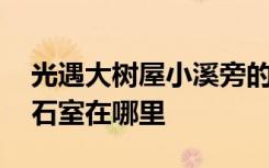 光遇大树屋小溪旁的石室在哪 光遇小溪旁的石室在哪里