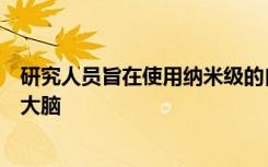 研究人员旨在使用纳米级的自旋电子设备来构建新型的人工大脑