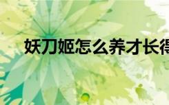 妖刀姬怎么养才长得好 妖刀姬如何培养