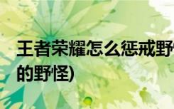 王者荣耀怎么惩戒野怪 (怎么惩戒王者荣耀里的野怪)