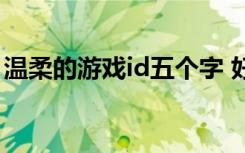 温柔的游戏id五个字 好听的游戏昵称男5个字