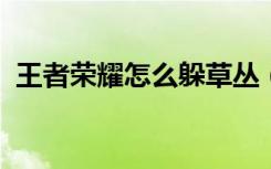 王者荣耀怎么躲草丛 (王者荣耀躲草丛技巧)
