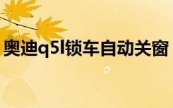 奥迪q5l锁车自动关窗 怎么设置Q5L锁车声音