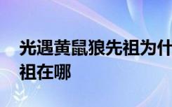 光遇黄鼠狼先祖为什么找不到 光遇黄鼠狼先祖在哪