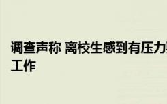 调查声称 离校生感到有压力要求教师和家长选择大学而不是工作