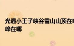 光遇小王子峡谷雪山山顶在哪 光遇小王子霞谷冰雪覆盖的山峰在哪