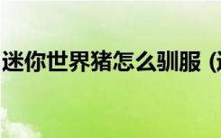 迷你世界猪怎么驯服 (迷你世界猪驯服的方法)