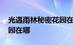 光遇雨林秘密花园在哪视频 光遇雨林秘密花园在哪