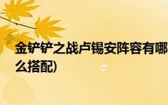 金铲铲之战卢锡安阵容有哪些 (金铲铲之战狂野刺客阵容怎么搭配)