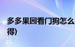 多多果园看门狗怎么得 (多多果园看门狗如何得)