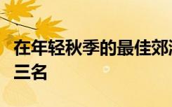 在年轻秋季的最佳郊游中均进入各自比赛的前三名
