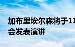 加布里埃尔森将于11月15日在西澳大学教务会发表演讲