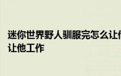 迷你世界野人驯服完怎么让他工作 迷你世界野人驯服后怎么让他工作