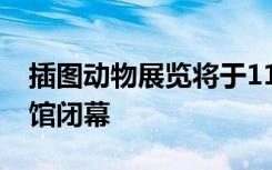插图动物展览将于11月12日在西澳大学美术馆闭幕