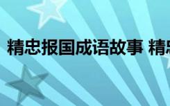 精忠报国成语故事 精忠报国成语故事是什么