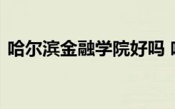 哈尔滨金融学院好吗 哈尔滨金融学院的简介