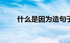 什么是因为造句子大全 是因为造句