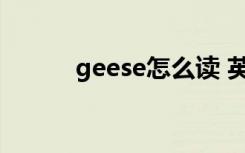 geese怎么读 英语geese怎么读