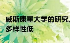 威斯康星大学的研究人员发现自交白鼬的遗传多样性低