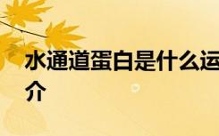 水通道蛋白是什么运输方式 水通道蛋白的简介