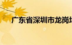 广东省深圳市龙岗坪山中心小学怎么样