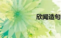 欣闻造句 欣闻造句