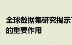 全球数据集研究揭示了灰尘在山区生态系统中的重要作用