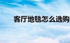 客厅地毯怎么选购 家居地毯如何选购
