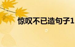 惊叹不已造句子11字 惊叹不已造句
