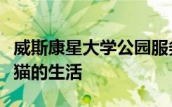 威斯康星大学公园服务研究中心演讲的山狮小猫的生活