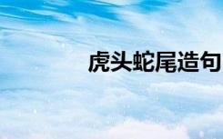 虎头蛇尾造句 虎头蛇尾造句
