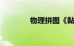 物理拼图《黏黏小球》评价