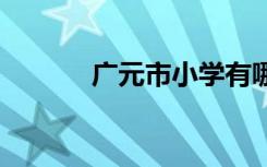 广元市小学有哪些 哪些比较好