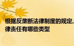 根据反垄断法律制度的规定,经营者对垄断行为可能承担的法律责任有哪些类型