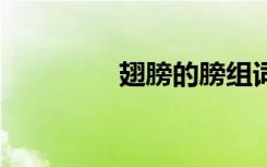 翅膀的膀组词 汉字膀组词